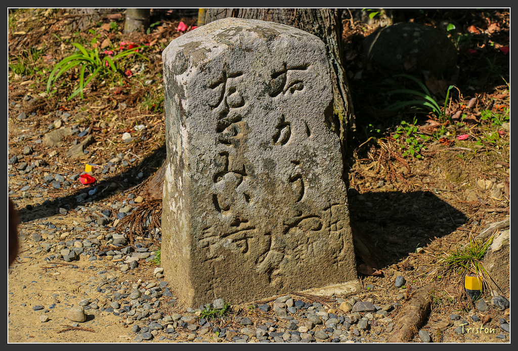 IMG_4840.jpg - 20160323 日本熊野古道健行