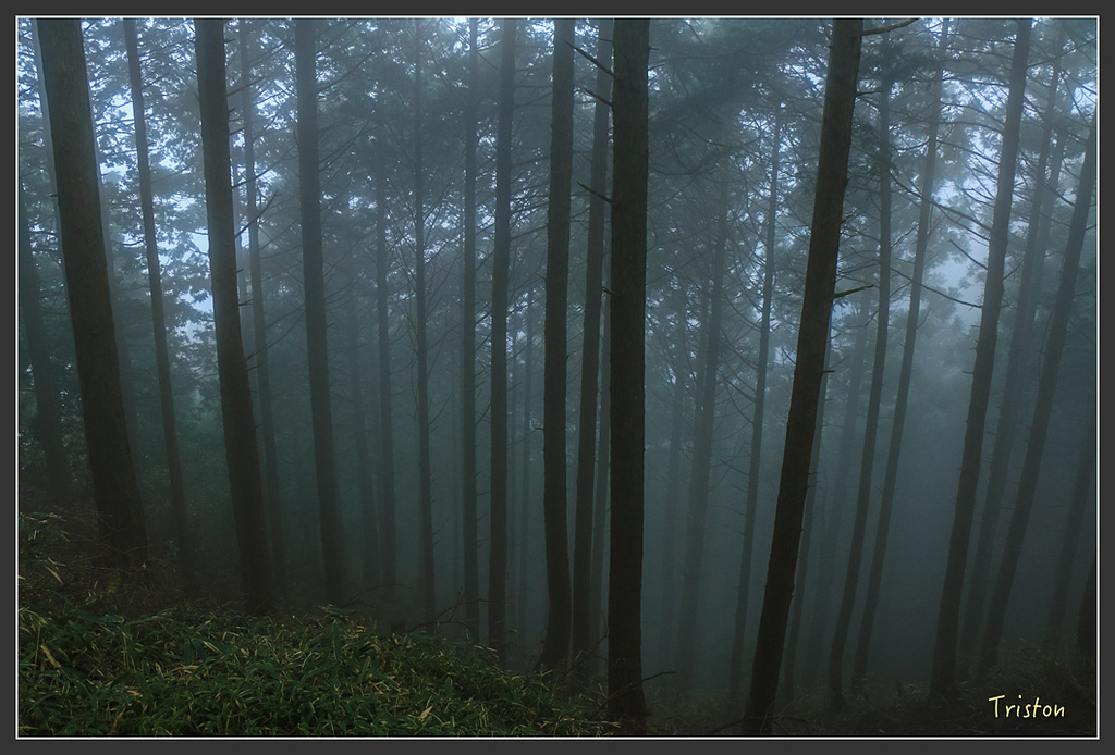 IMG_5574.jpg - 20160323 日本熊野古道健行