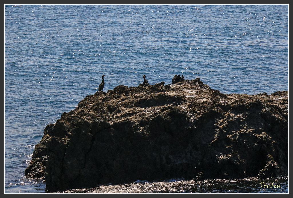 IMG_5866.jpg - 20160323 日本熊野古道健行