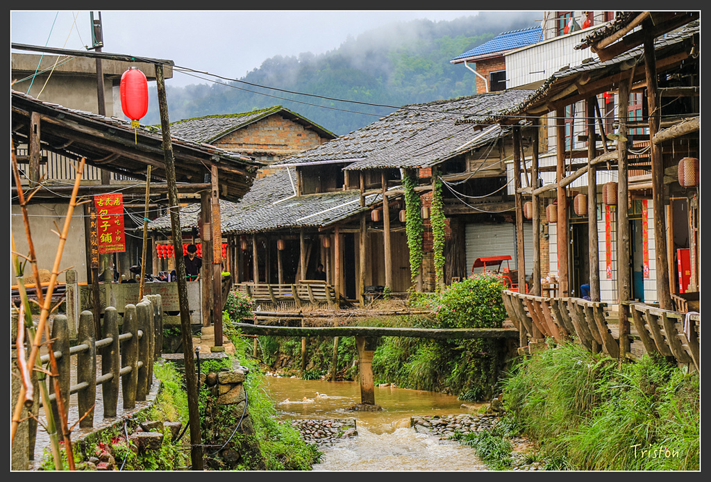 IMG_6571.jpg - 20160409 武夷山之旅