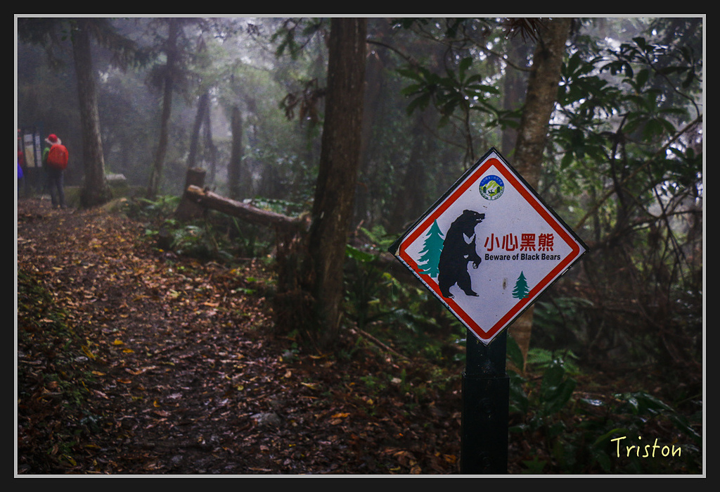 2017-02-27 10.03.53 下午 _MG_0229.jpg - 20170225 玉里瓦拉米