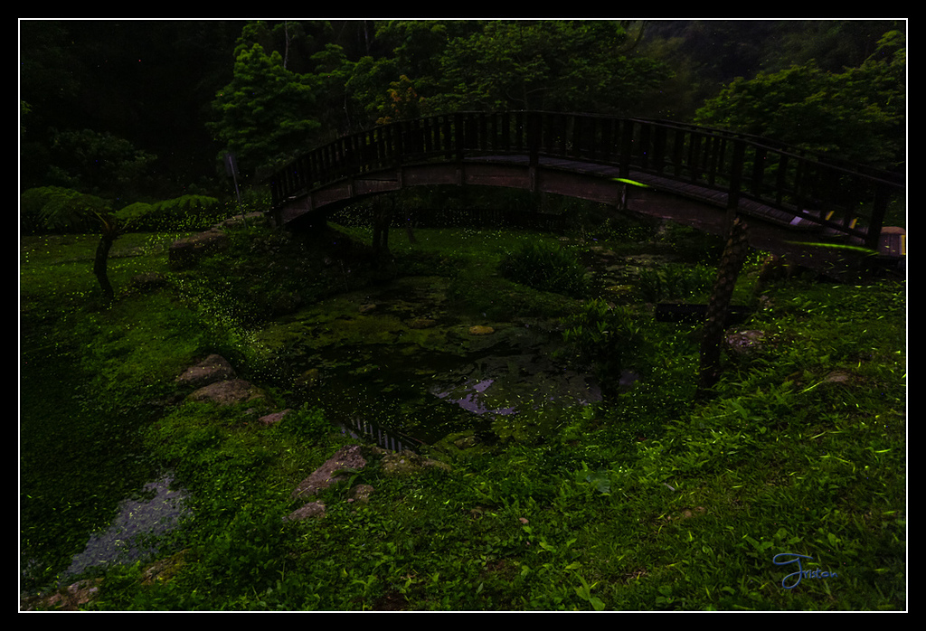 _H1A3829.jpg - 20170425 阿里山+圓潭螢火蟲