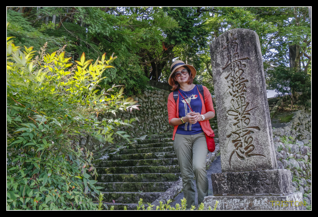 _MG_0144.jpg - 20170702 靜岡東海道之旅