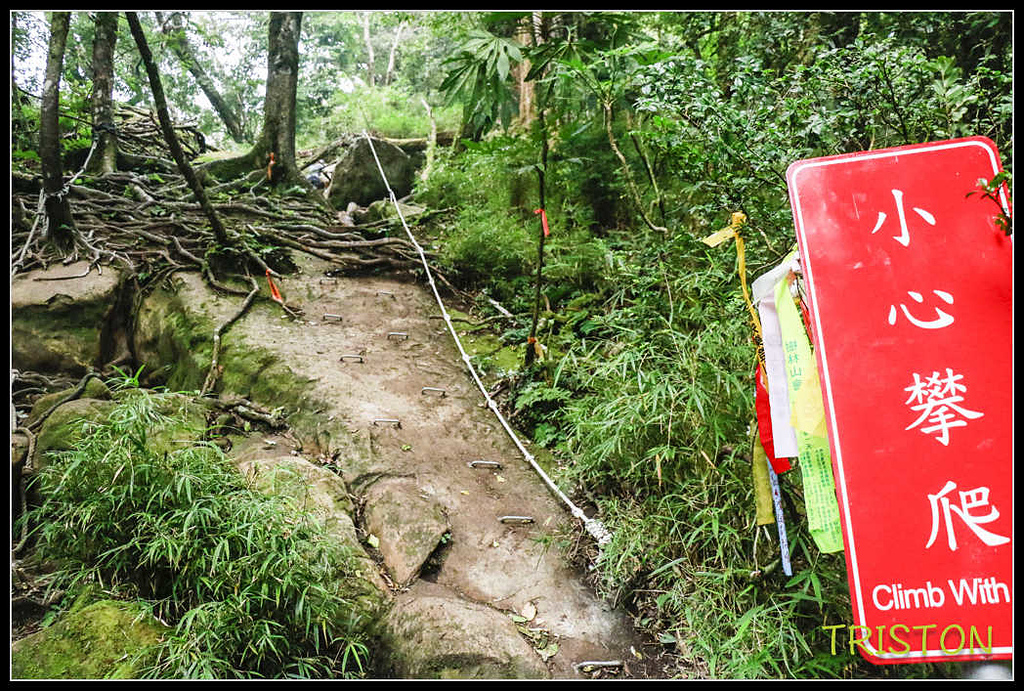 _MG_0088.jpg - 20170920 加里山