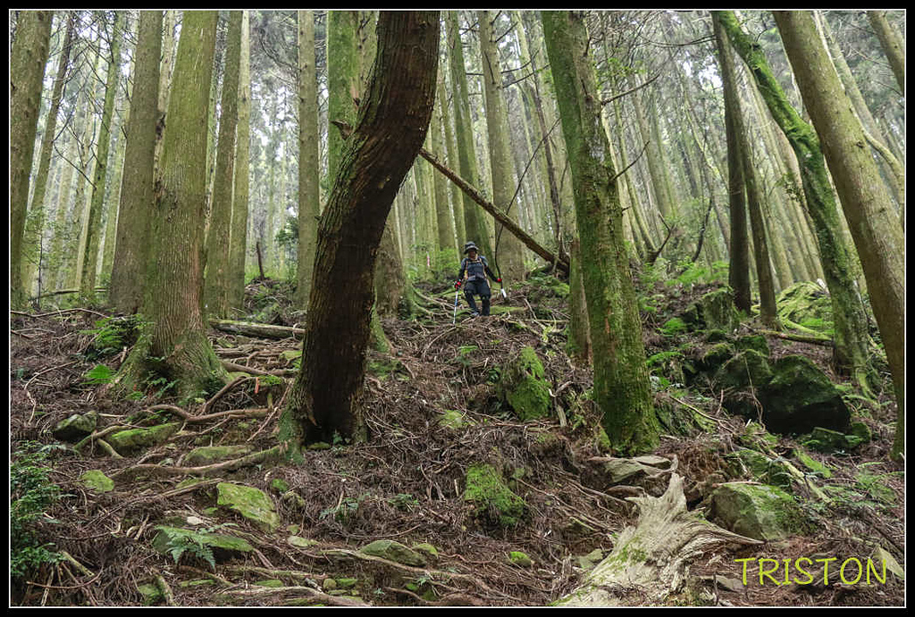 _MG_0142.jpg - 20170920 加里山