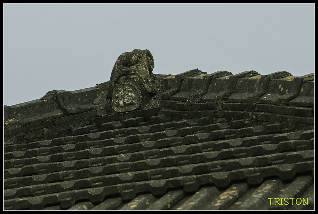 _H1A8568.jpg - 20171008 林鳳營車站