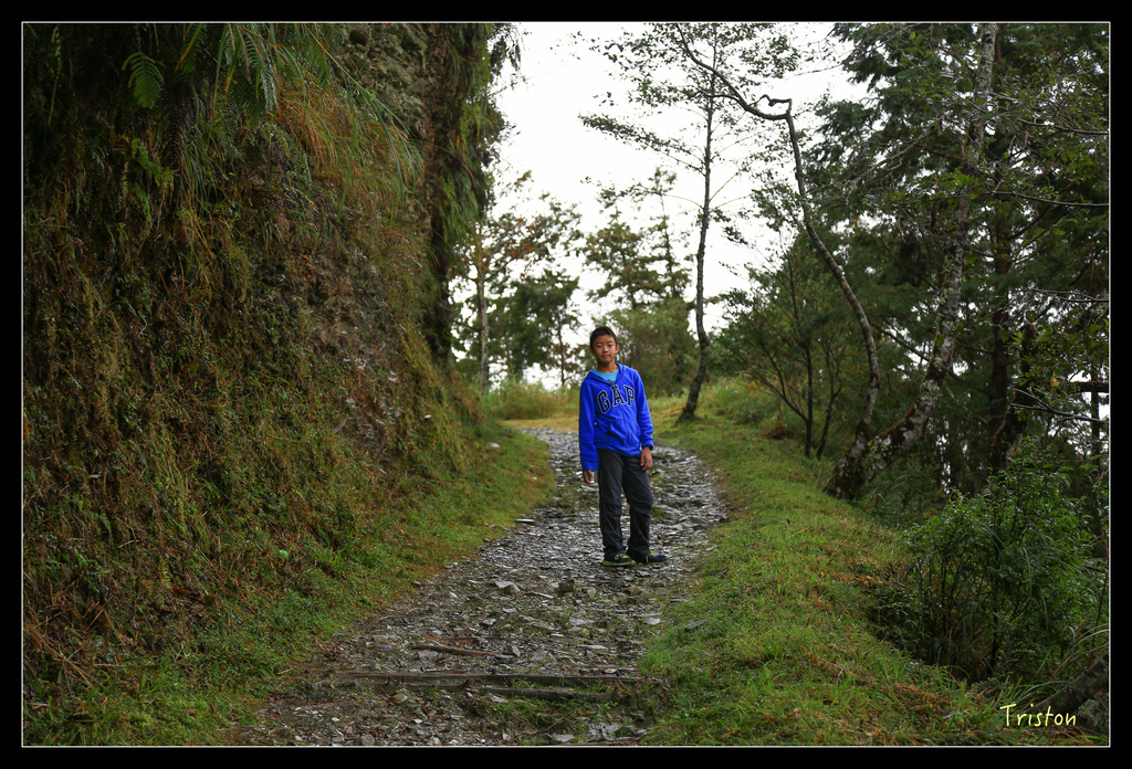 JH1A0113.jpg - 20151024~25 幾米公園、翠峰湖、翠峰山屋、望洋山步道、山毛櫸步道