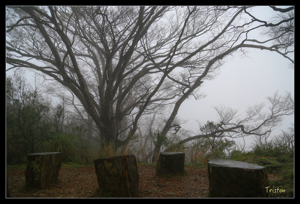 JH1A0195.jpg - 20151024~25 幾米公園、翠峰湖、翠峰山屋、望洋山步道、山毛櫸步道