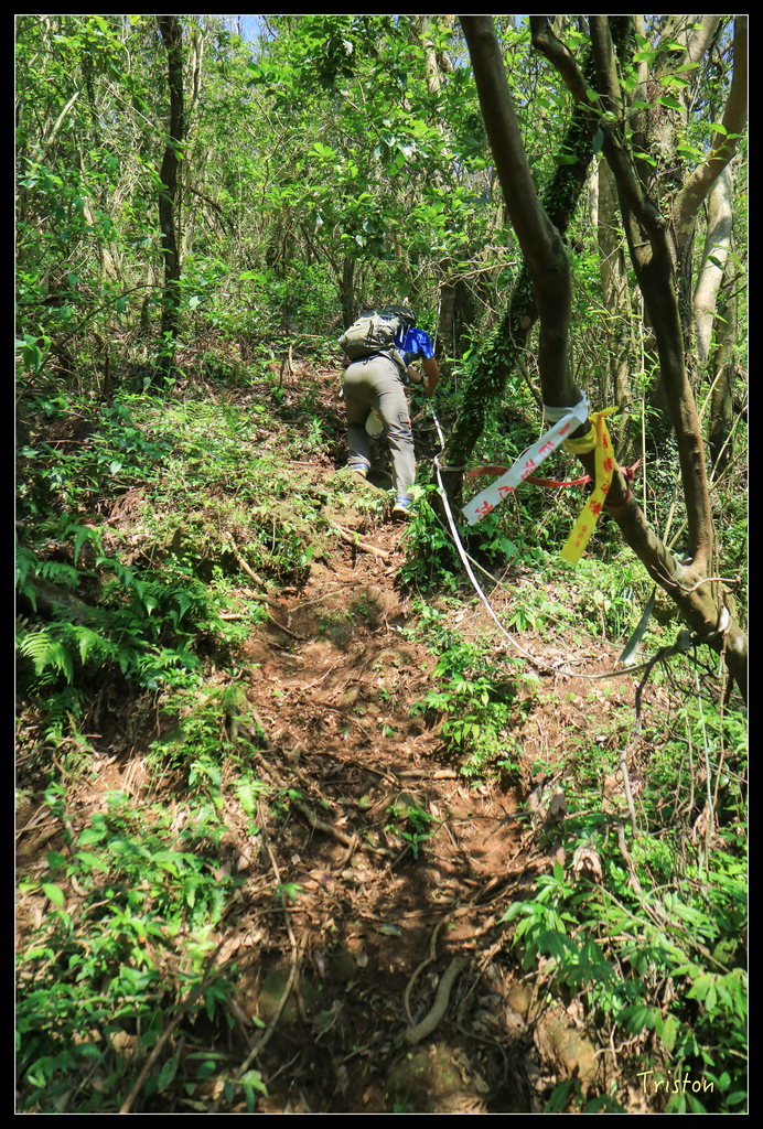 IMG_0525.jpg - 20151107 富士坪古道