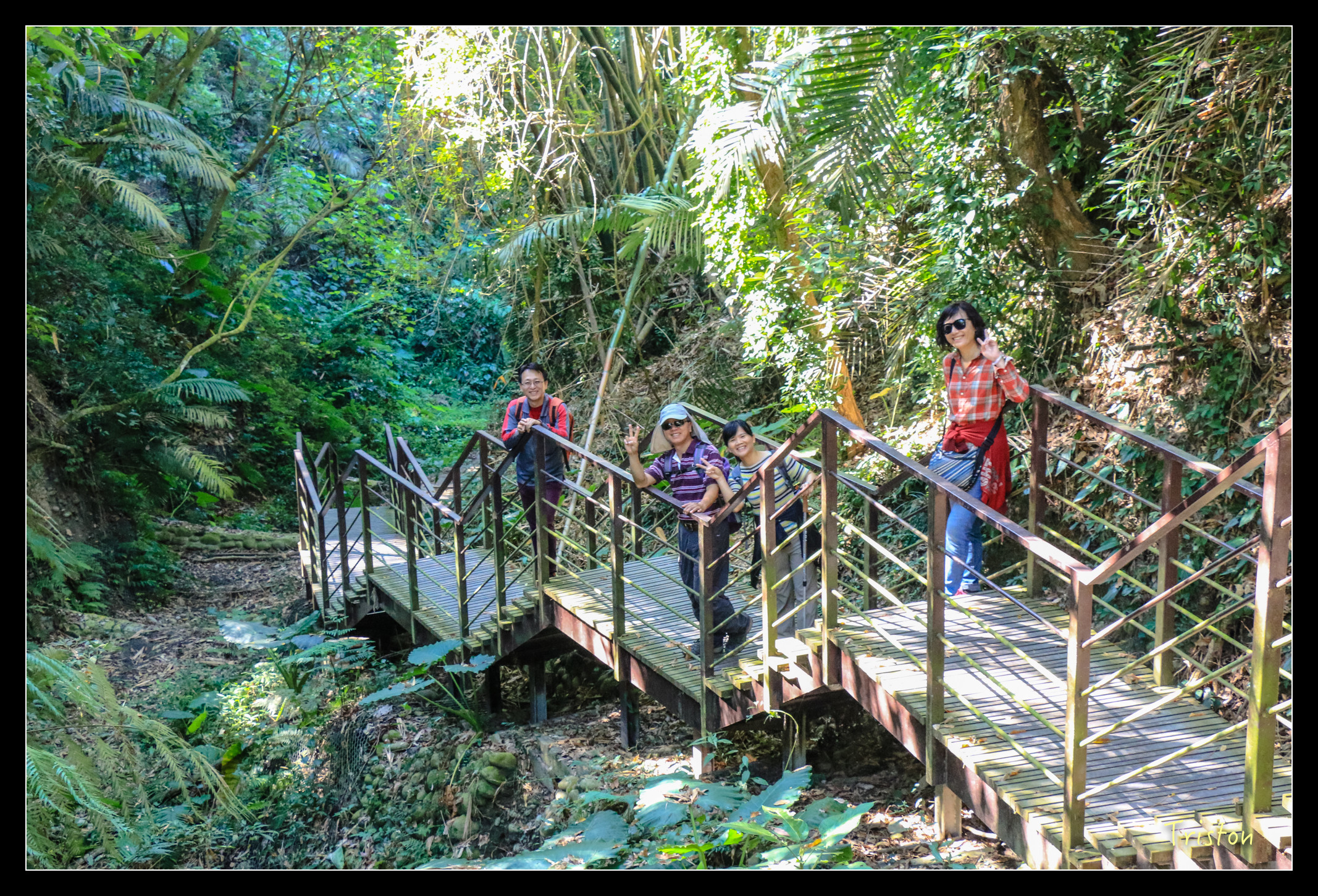 IMG_0377.jpg - 20151214 林內龍過脈步道