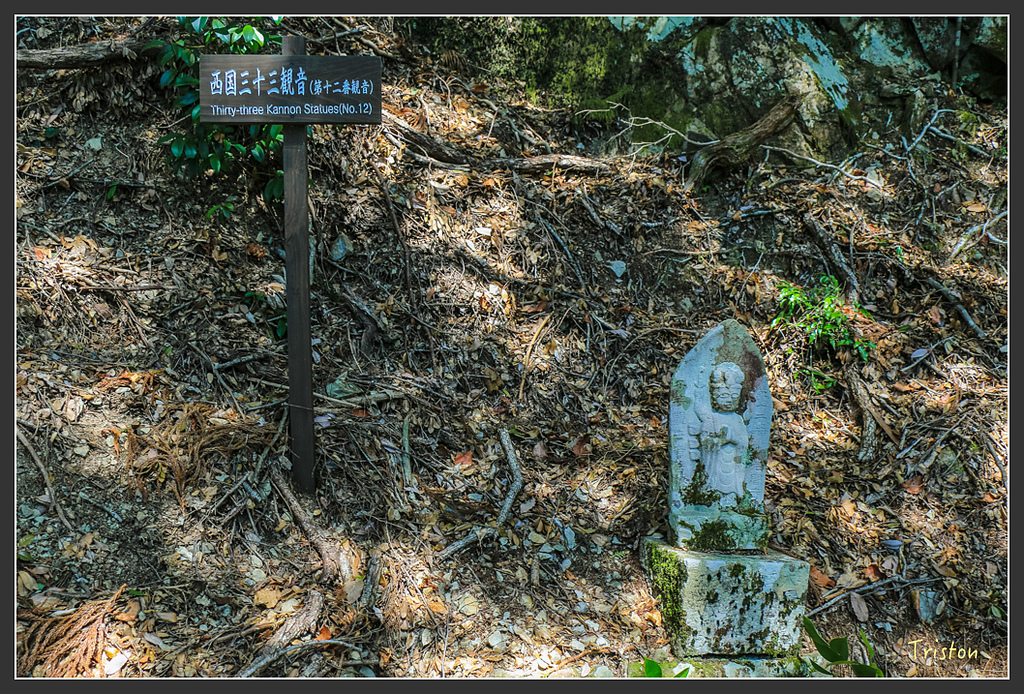 IMG_4764.jpg - 20160323 日本熊野古道健行