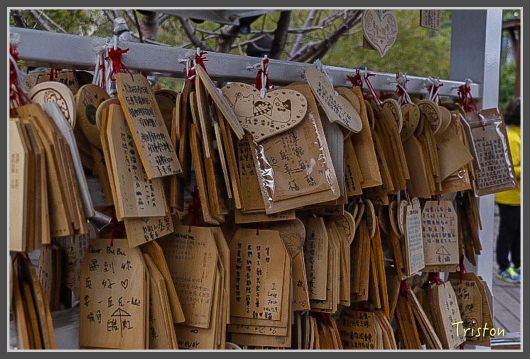 _MG_0005.jpg - 20161203 鎮西堡