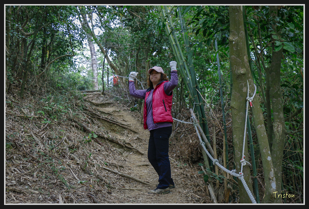 _MG_0614.jpg - 20170114 旗尾山