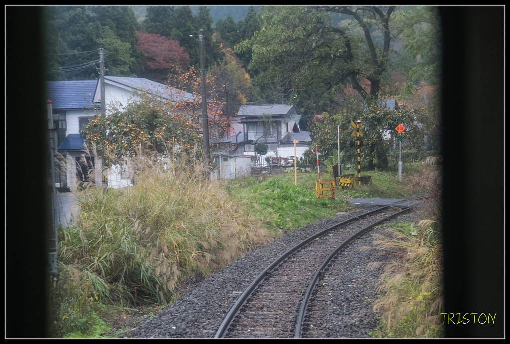 _H1A0266.jpg - 20171103 日本只見線、會津若松五色沼、昭和記念公園賞紅葉