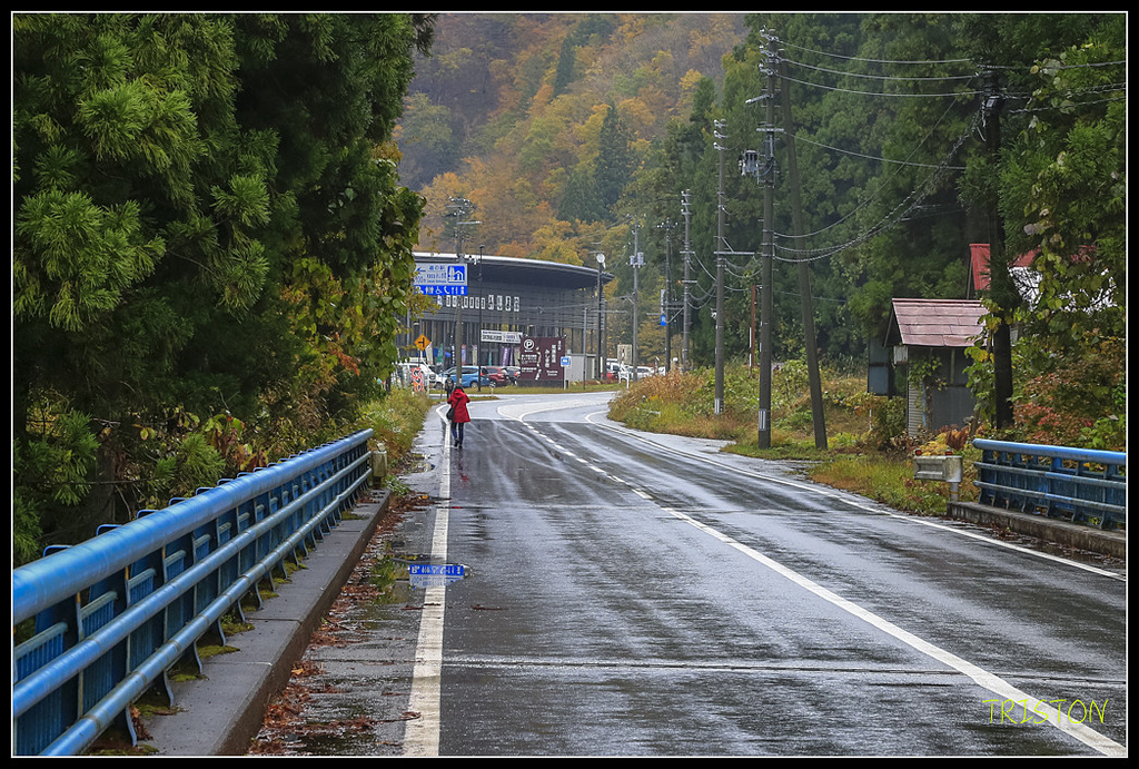 _H1A0419.jpg - 20171103 日本只見線、會津若松五色沼、昭和記念公園賞紅葉