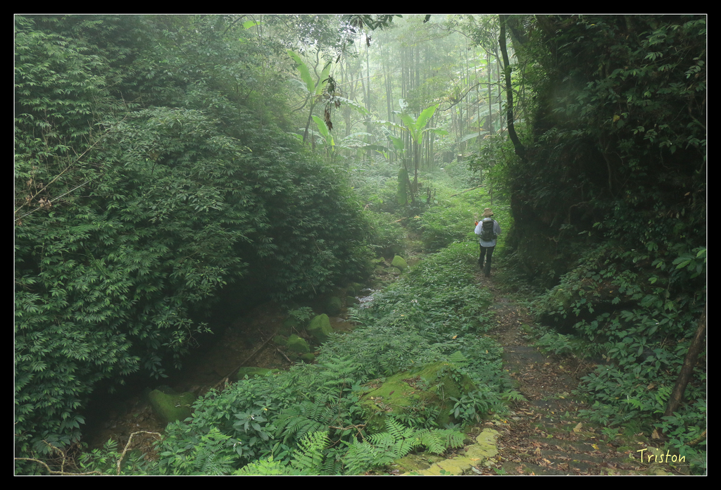 IMG_8476.jpg - 20151012 水社寮,四天王山
