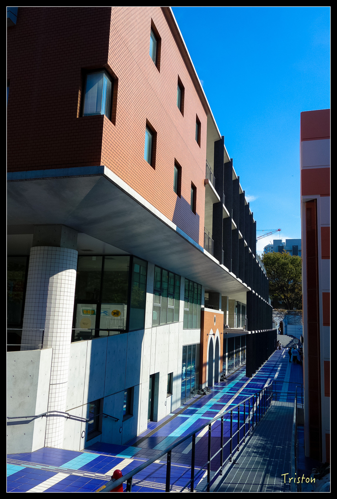 DSC00196.jpg - 20151031 秋天的童話-貴婦東京輕井澤紀行