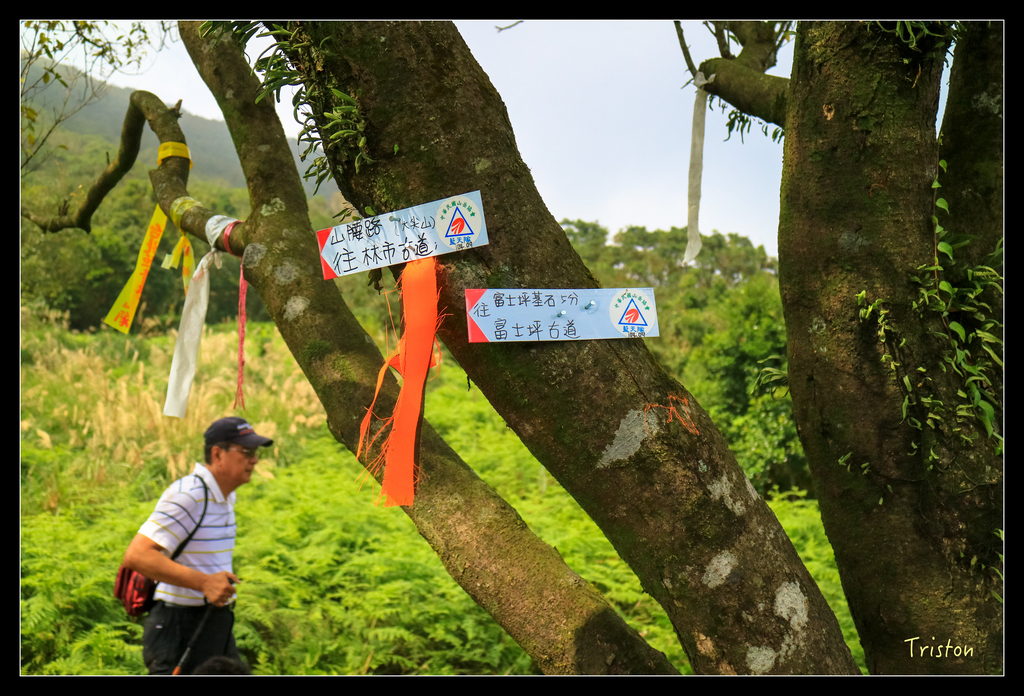 IMG_0547.jpg - 20151107 富士坪古道