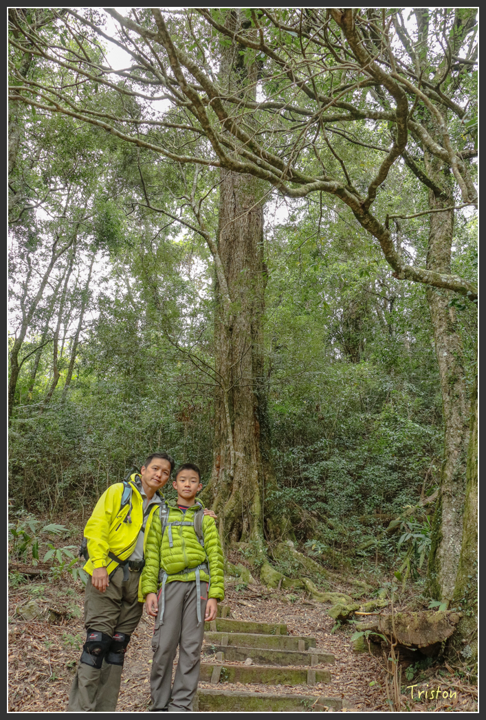 IMG_1206.jpg - 20151219 鳶嘴稍來山、小雪山林道