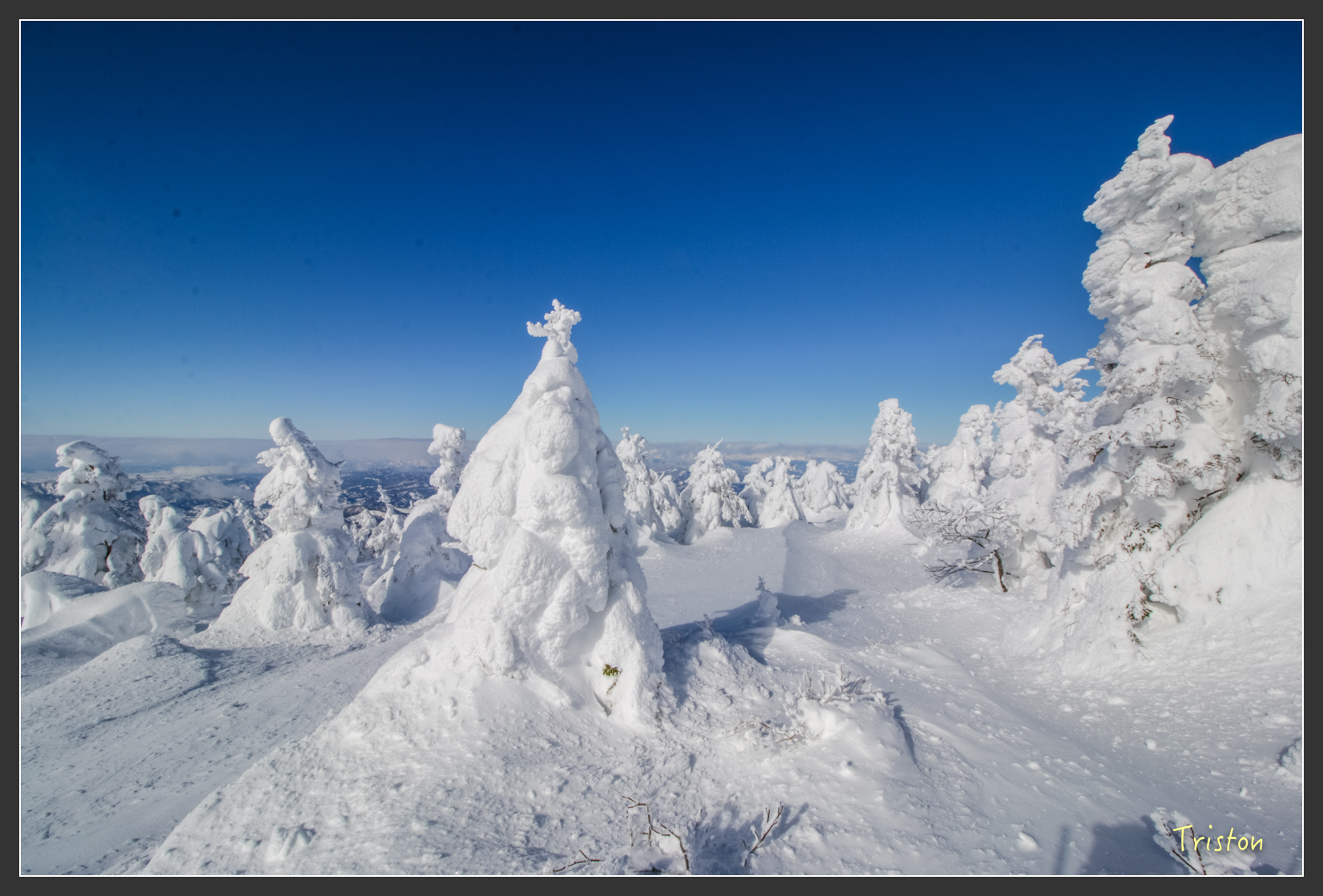 2016ZAO-01584.jpg - 20160131 日本藏王溫泉滑雪親子行