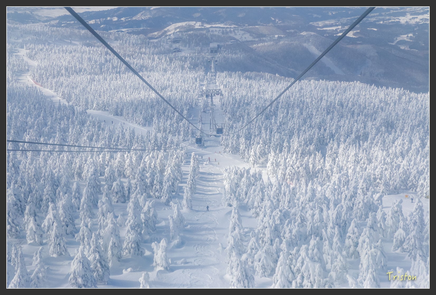 2016ZAO-01719.jpg - 20160131 日本藏王溫泉滑雪親子行