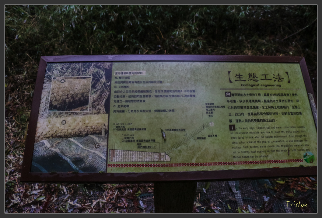 IMG_3322.jpg - 20160227 觀霧森林步道