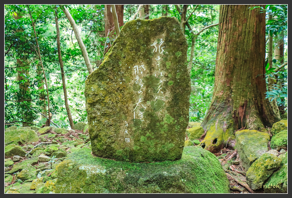 IMG_5695.jpg - 20160323 日本熊野古道健行