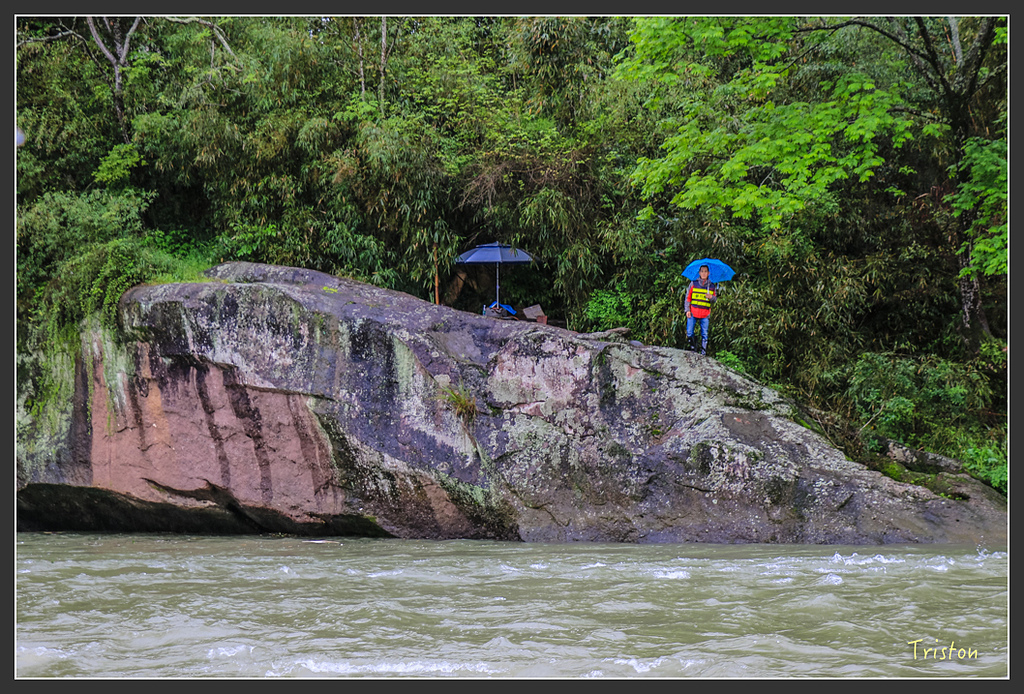 IMG_6806.jpg - 20160409 武夷山之旅