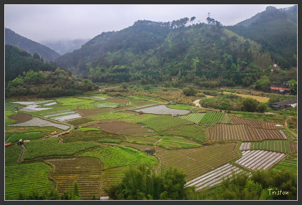 IMG_6349.jpg - 20160409 武夷山之旅