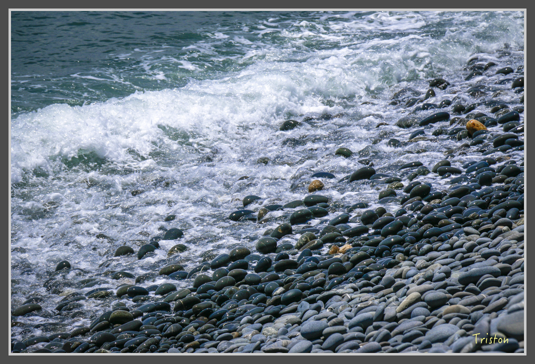 _MG_8340.jpg - 20160618 阿朗壹古道
