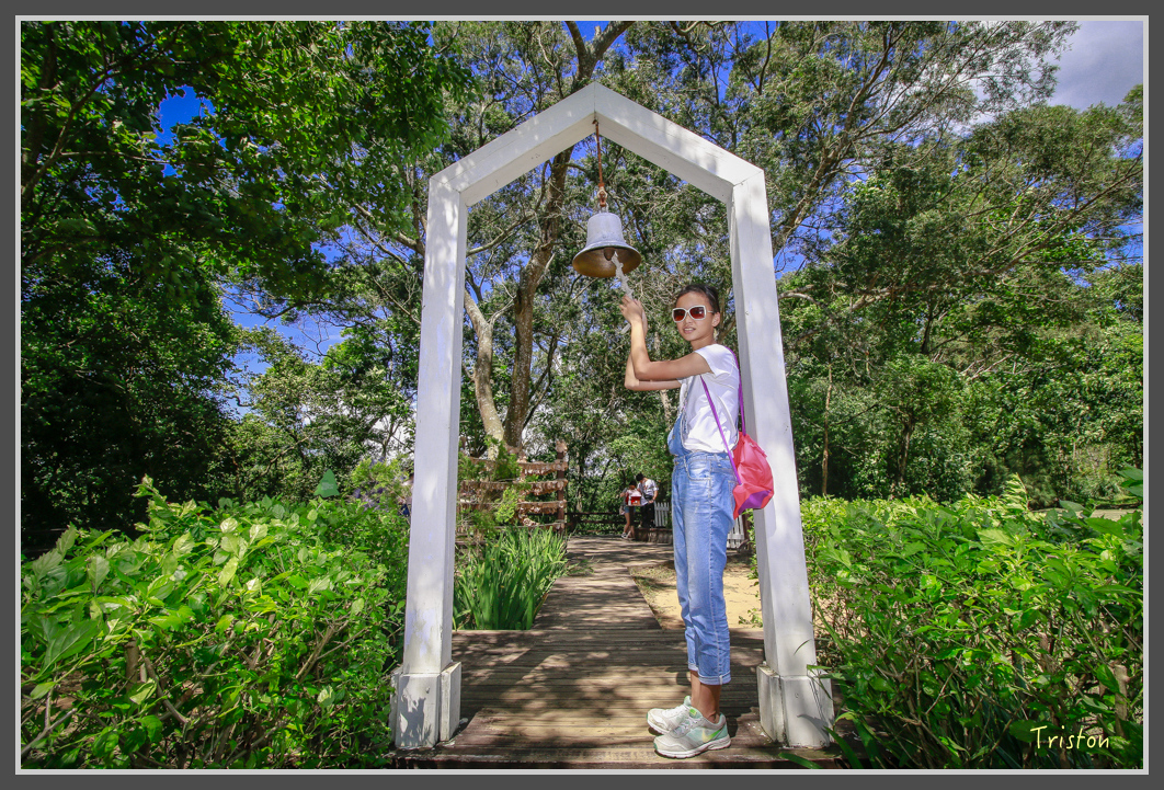 _MG_8888.jpg - 20160712 苗栗薰衣草森林