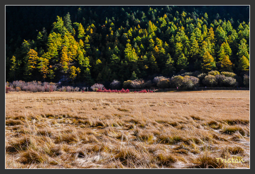 _MG_1939.jpg - 20161013 稻城亞丁