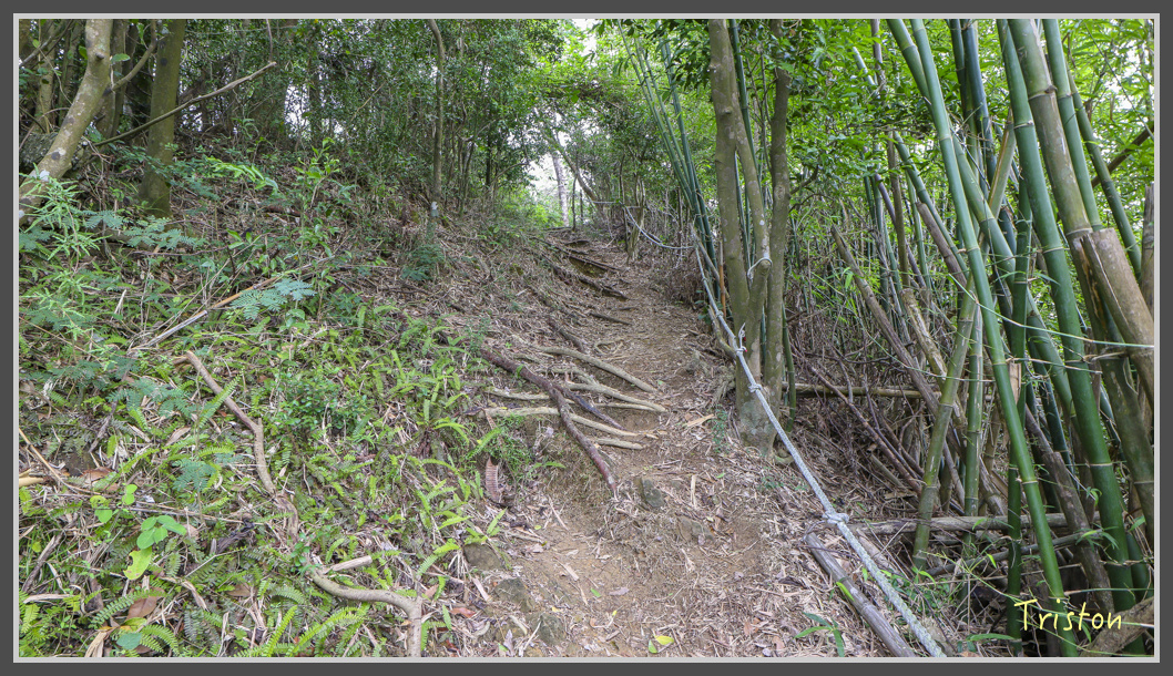 IMG_1917.jpg - 20161130 高雄旗尾山