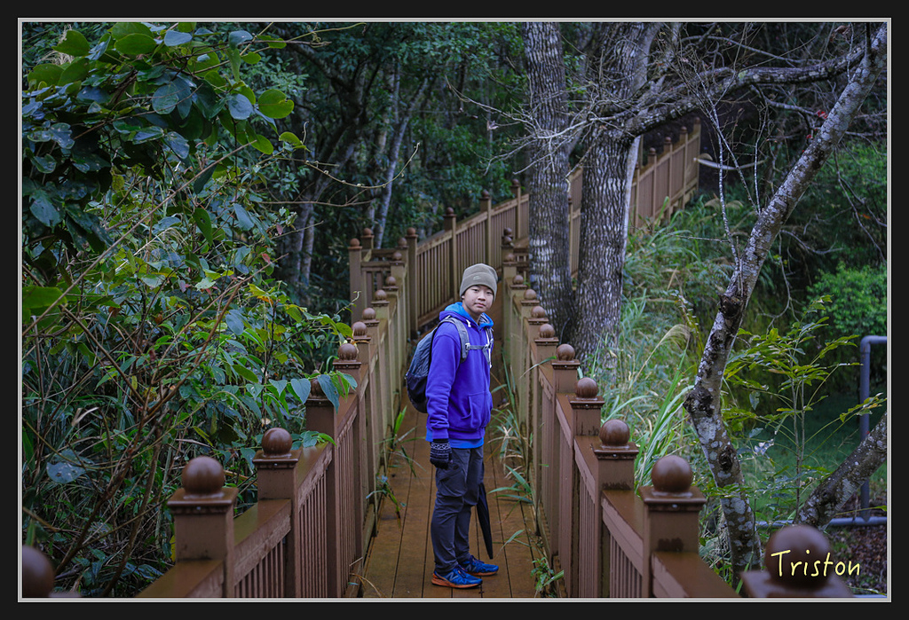 _H1A1975.jpg - 20170212 武界 萬大電廠 奧萬大