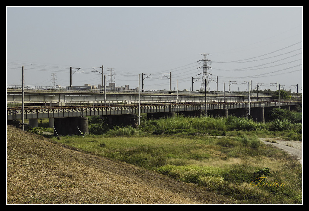 IMG_0002.jpg - 20170327 二層行溪鐵橋+環頸雉