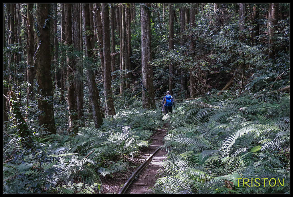 _MG_0047.jpg - 20170920 加里山