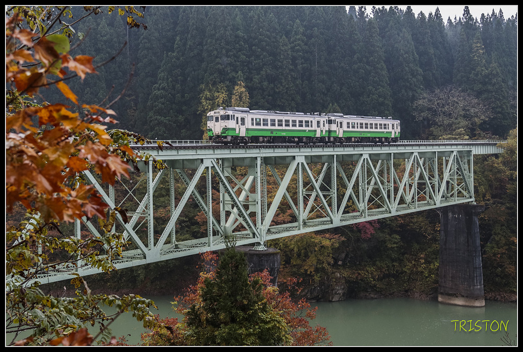 _H1A0320.jpg - 20171103 日本只見線、會津若松五色沼、昭和記念公園賞紅葉