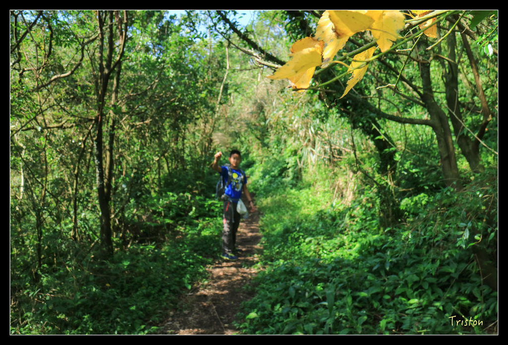 IMG_0530.jpg - 20151107 富士坪古道