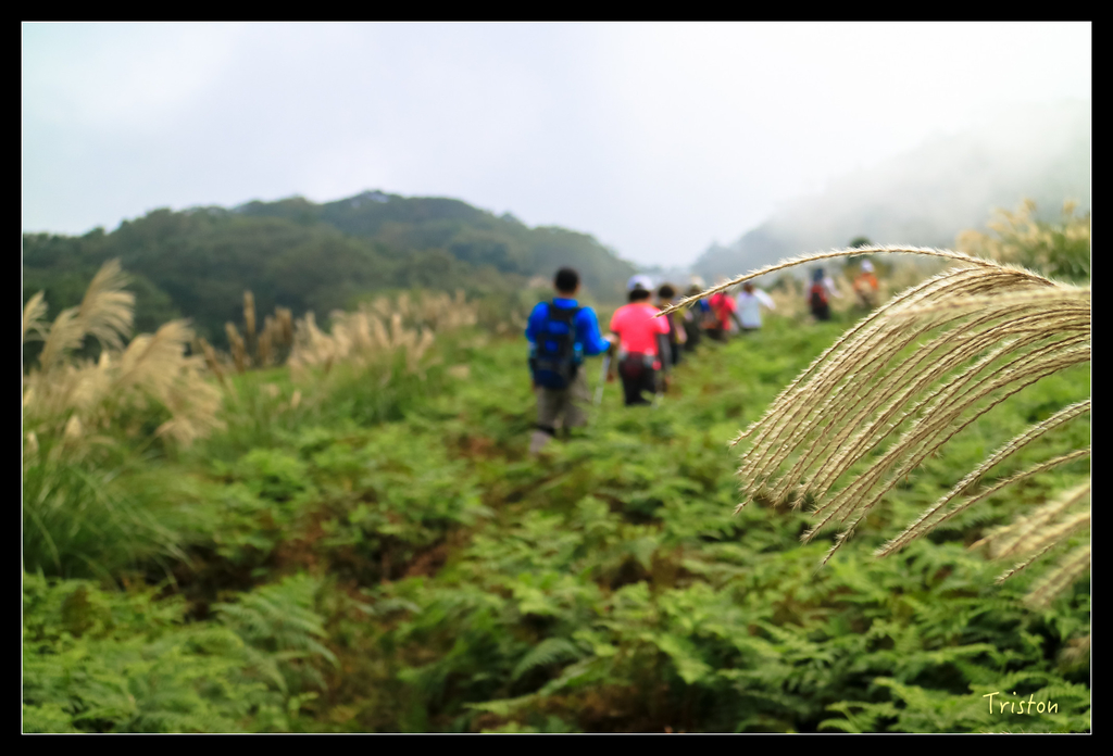 IMG_0556.jpg - 20151107 富士坪古道
