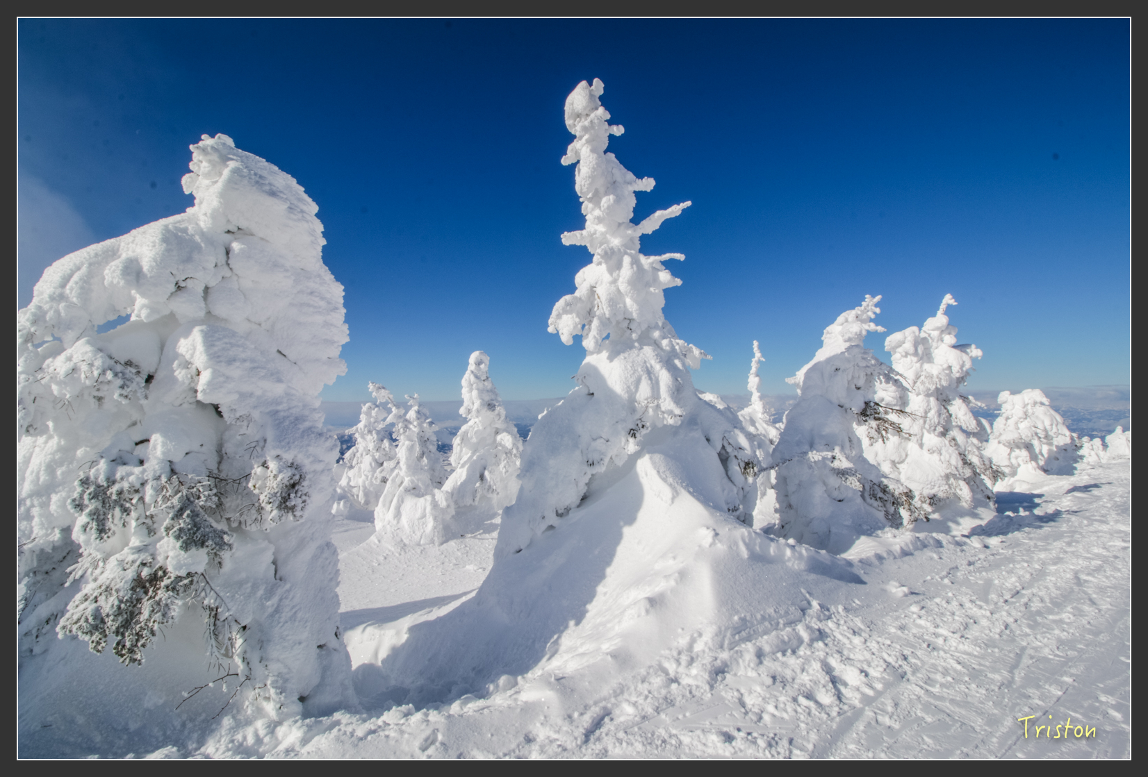 2016ZAO-01586.jpg - 20160131 日本藏王溫泉滑雪親子行