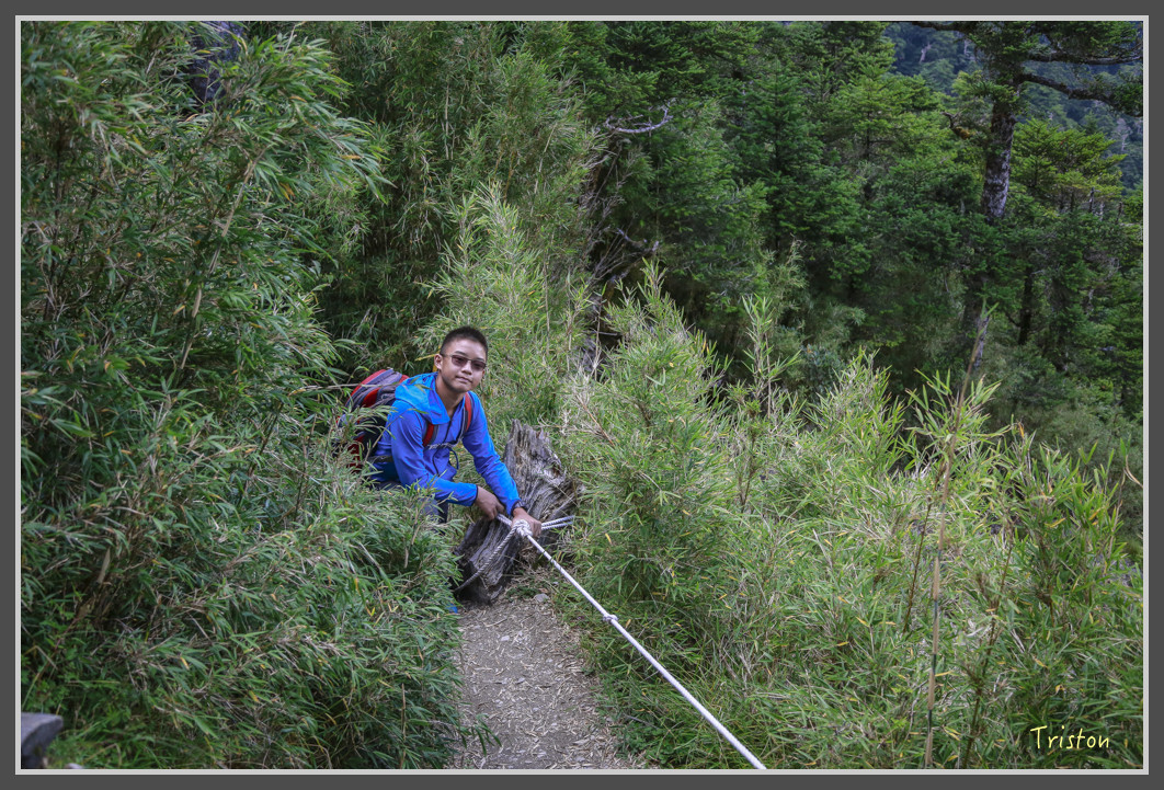JH1A0191.jpg - 20160806 小奇萊步道、清境國小