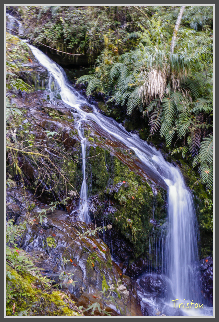 _MG_0220.jpg - 20161203 鎮西堡