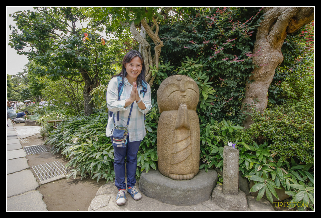 _MG_1496.jpg - 20170702 靜岡東海道之旅