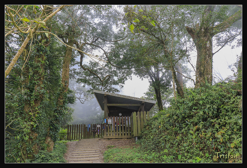 _MG_1113.jpg - 20180127 日湯真山